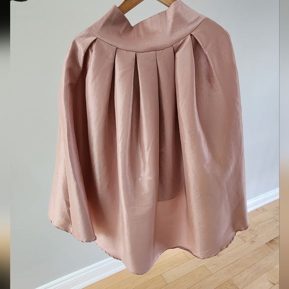Honey Taffeta Skirt - Picture 5 of 16
